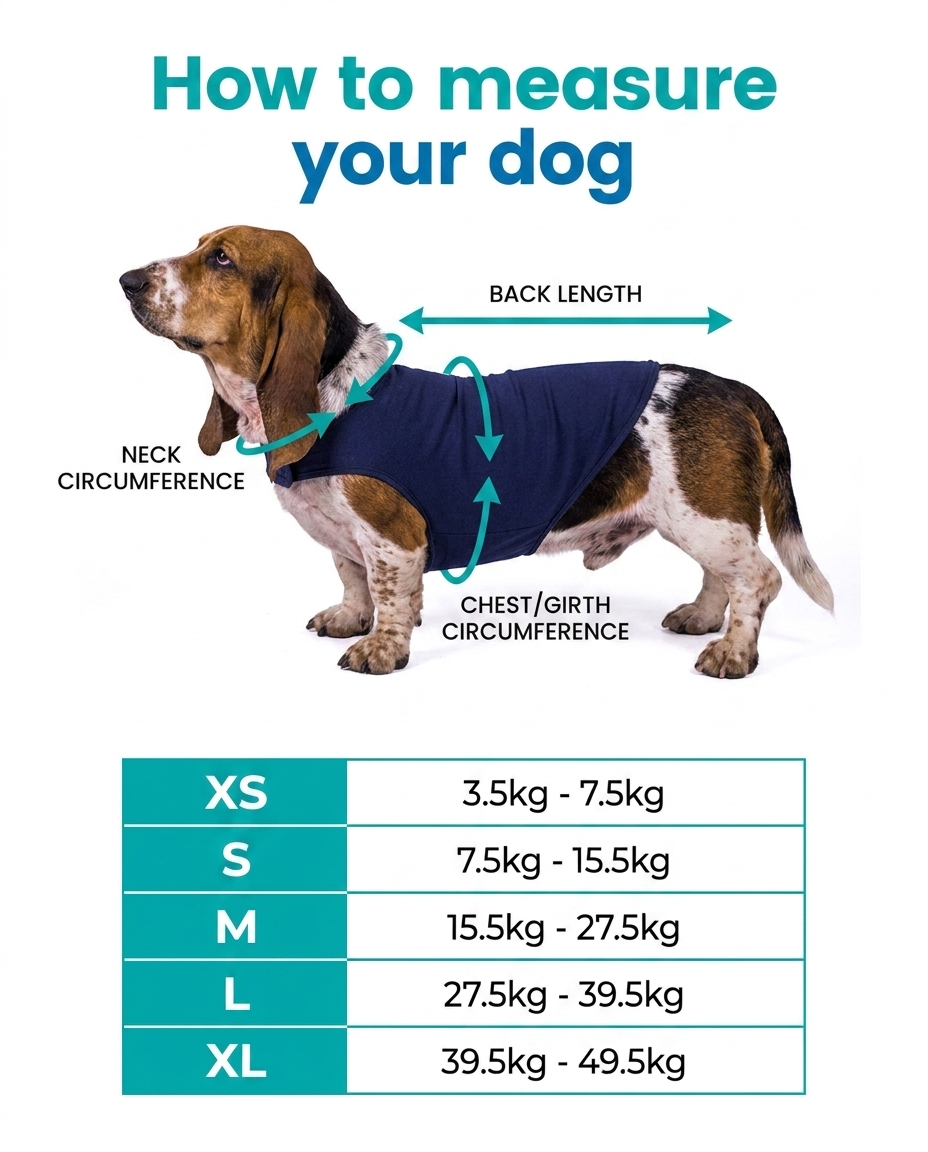 Size Chart - How to measure your dog
