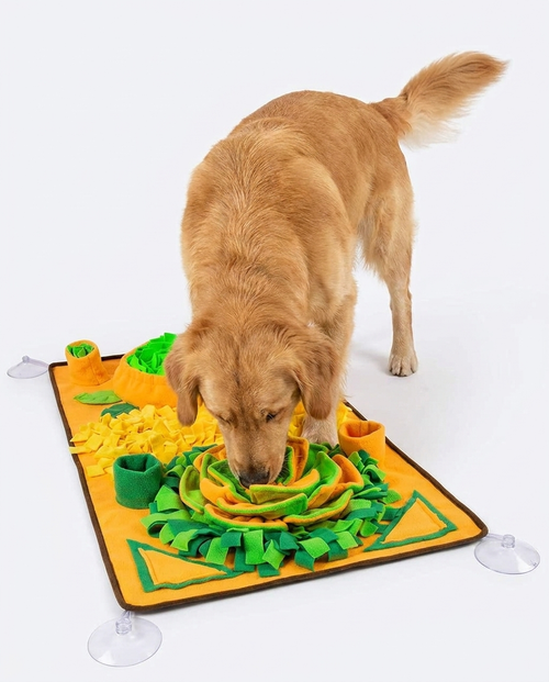 Hero action shot - dog foraging in snuffle mat
