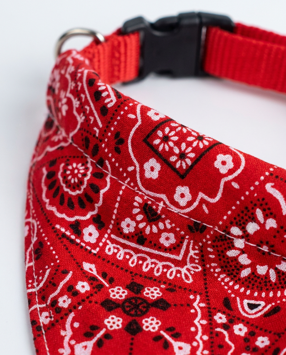 Close up detail of paisley print stitching and collar-slot attachment
